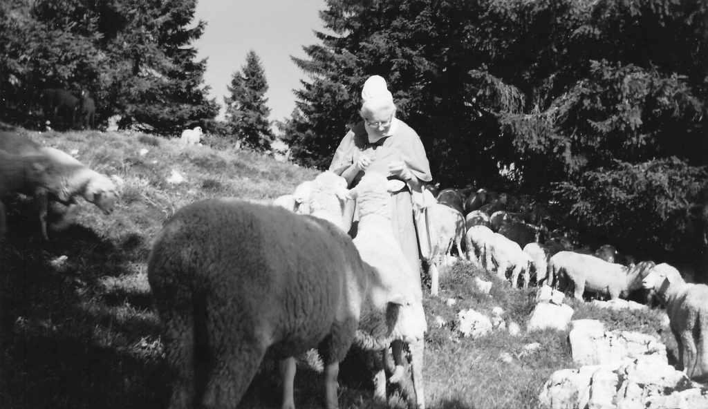 Les moutons et Soeur Reine Wagner